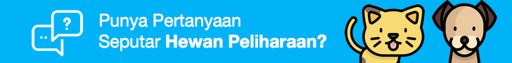 Tulis Pertanyaan Dokter Hewan