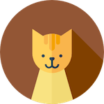 Kucing