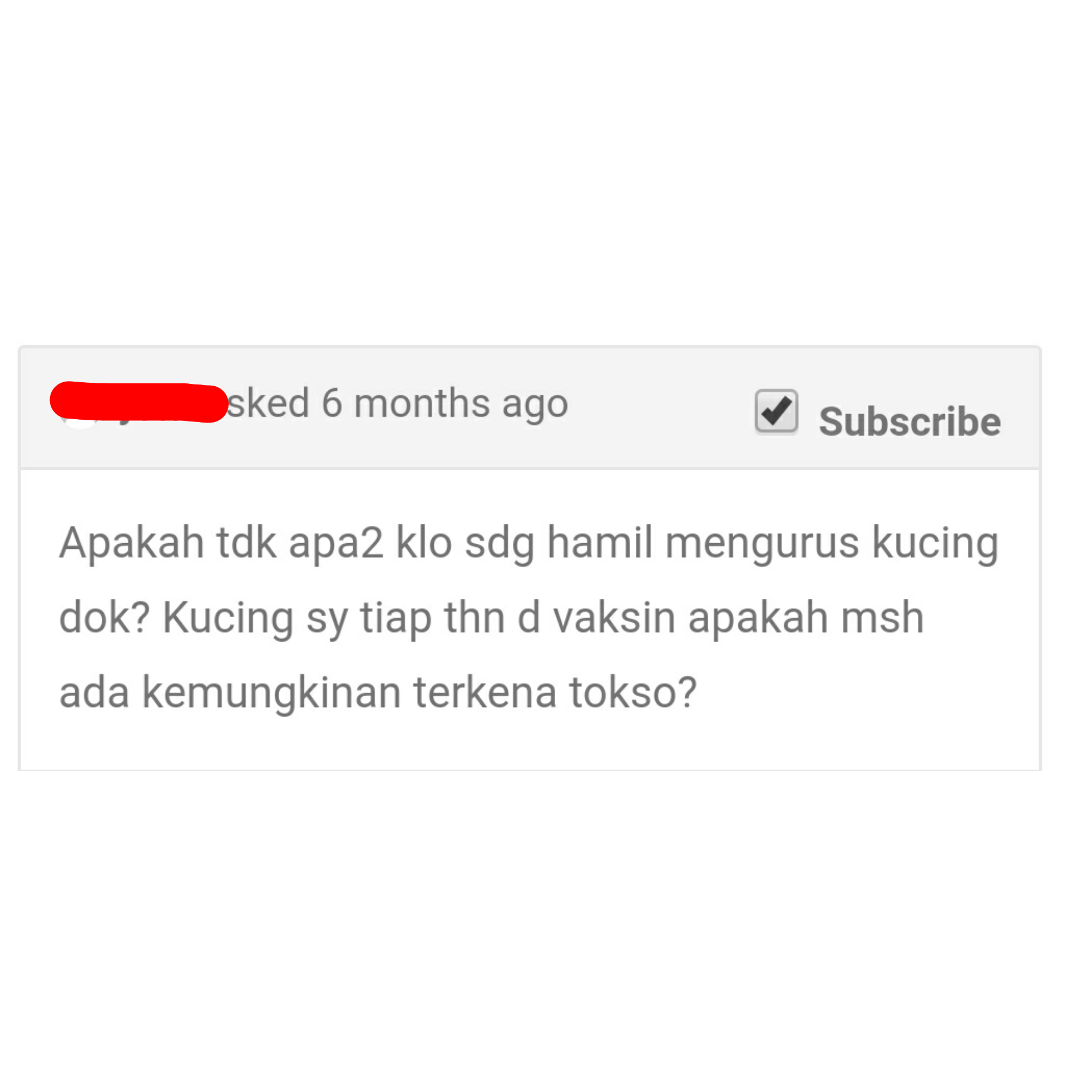 Apakah Diperbolehkan Memelihara Anjing Dan Kucing Selama Program Hamil ...