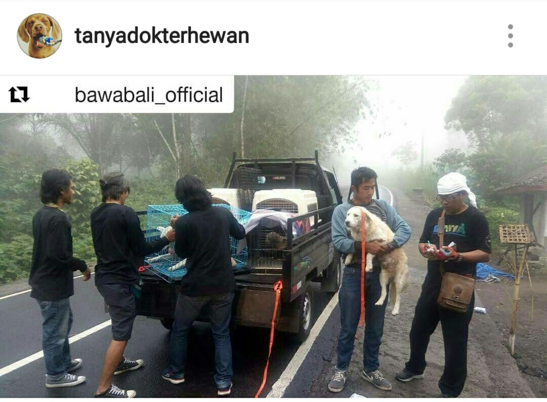 Hewan peliharaan dan bencana alam apa yang perlu dipersiapkan dan dilakukan – TANYA DOKTER HEWAN